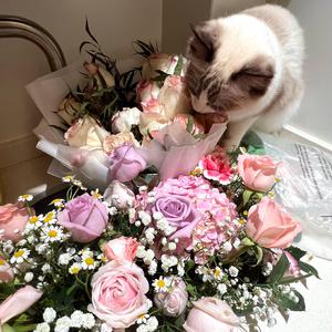 欧美国产巨大杨幂最新
